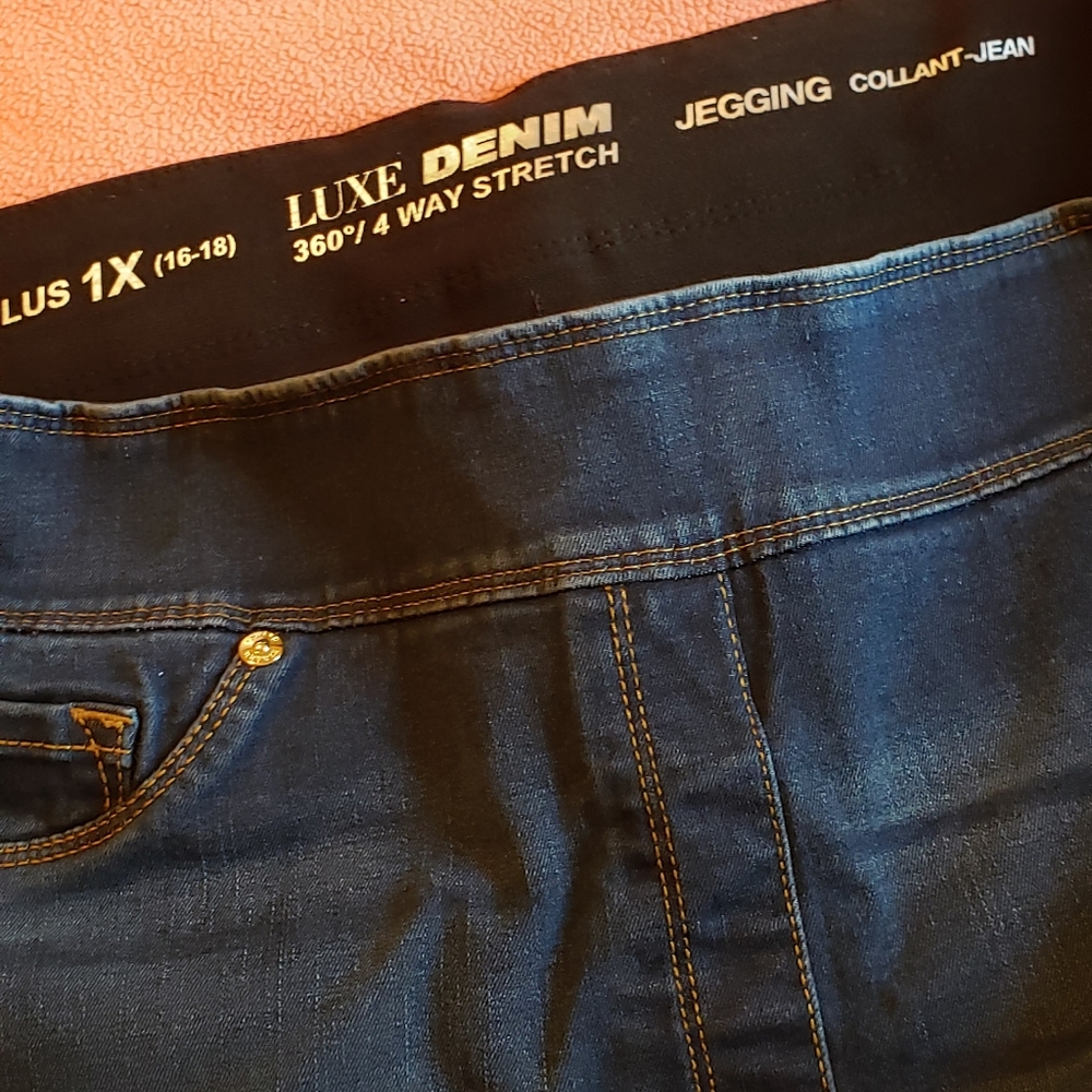 Peter Nygard  Stretch Jeggings  1X
